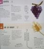 Crochet_Knit