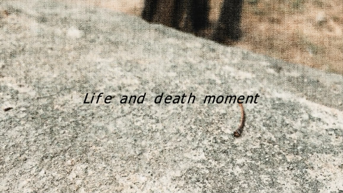 Life and death [00_00_01][20181203-180847-0].JPG