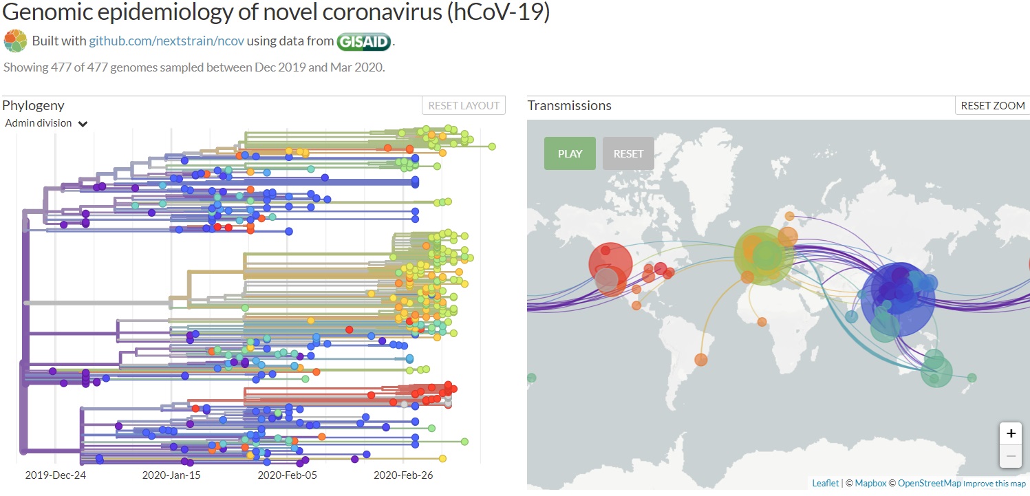nextstrain-org-ncov-1584131654346.jpg